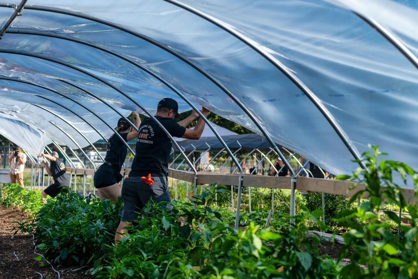 Food Sovereignty and What You Need to Know