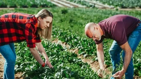 Growing Vegetables From Seed