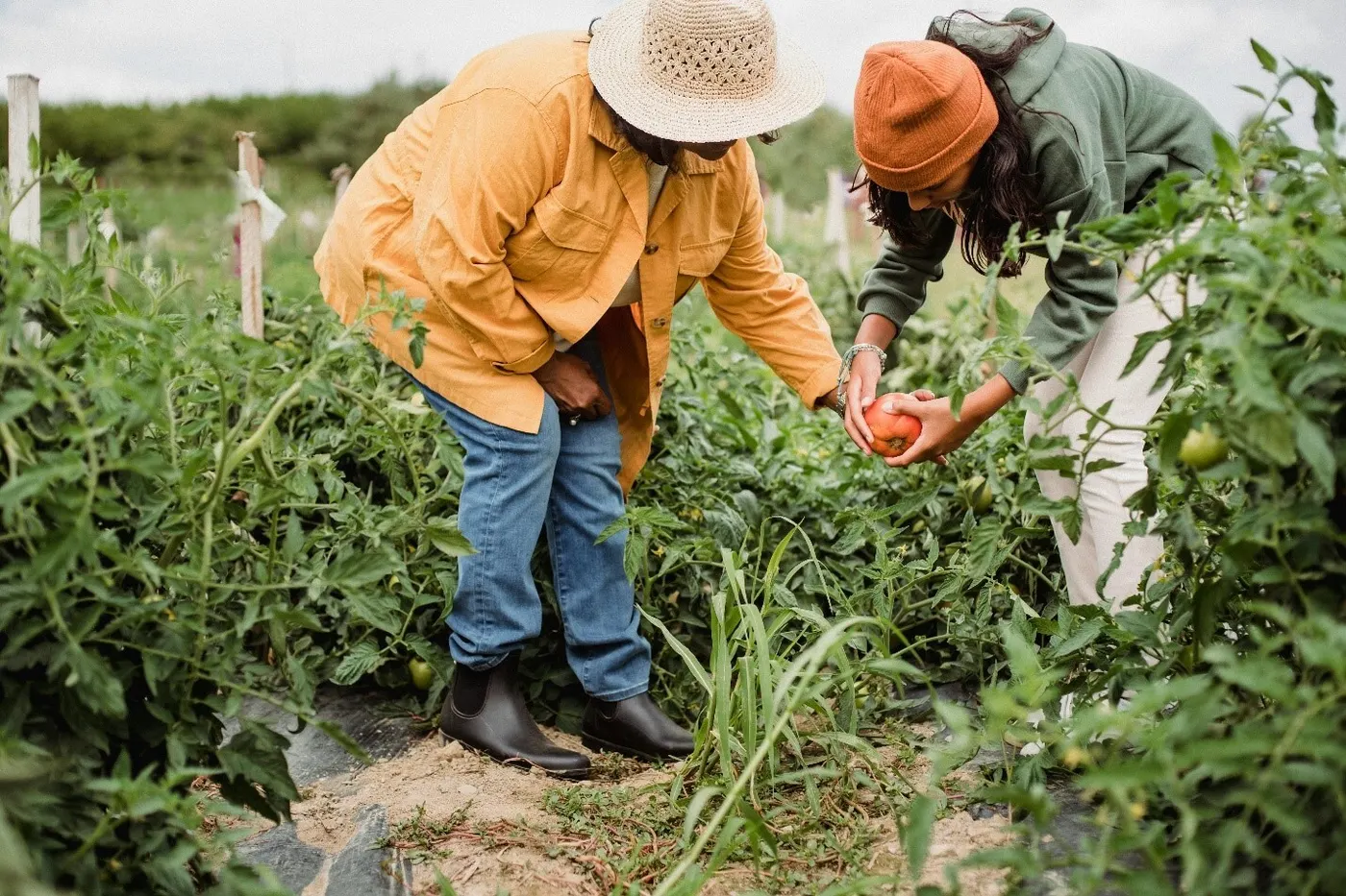 Food Sovereignty and What You Need to Know