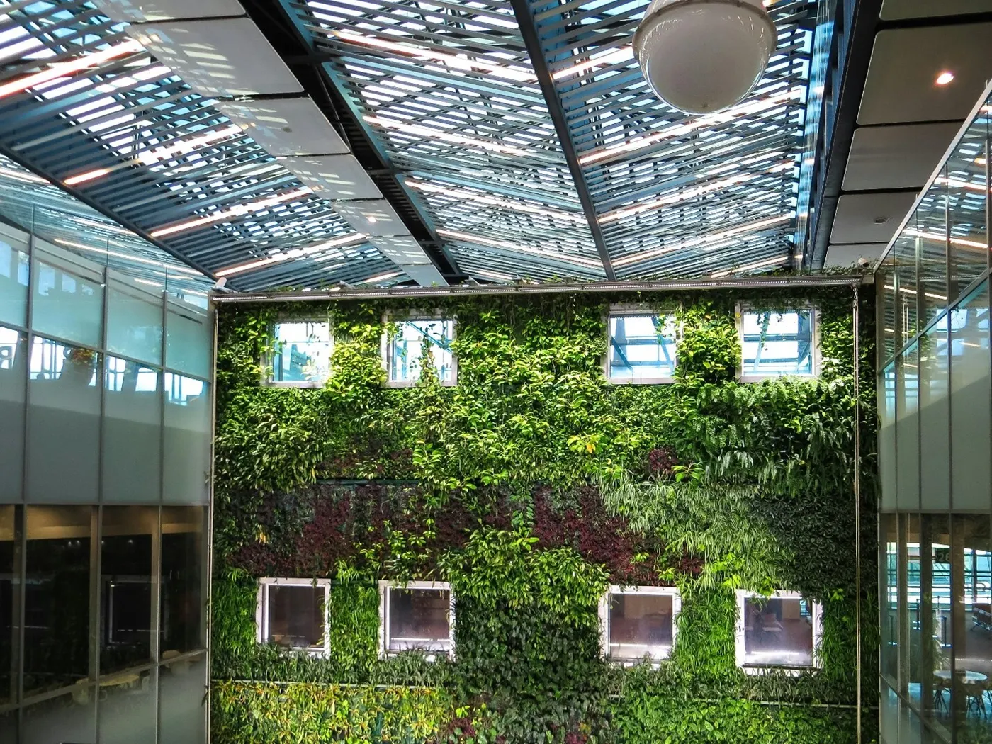 Net Zero Living, Regenerative Farming & Green Communities